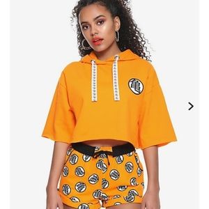 Dragonball Z Goku crop sweater